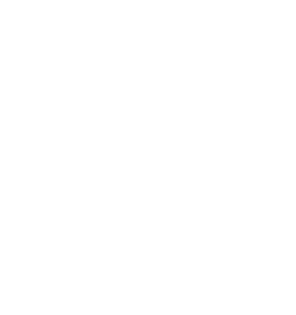 BriAndBro